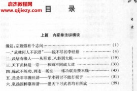 若水左致强著内家拳功法揭秘电子版pdf百度网盘下载学习