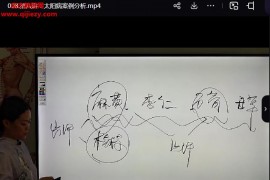 金梅洛书方药(伤寒经方传承班)视频课程98集百度网盘下载学习