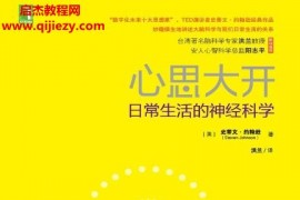 (美)史蒂文约翰逊著心思大开电子版pdf日常生活的神经科学百度网盘下载学习