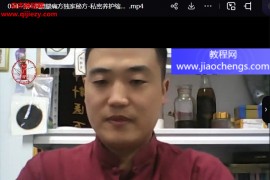 独家秘传王东磊王氏中药外治疗法视频课程4集百度网盘下载学习