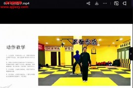 李小龙三代传人亲授截拳道核心秘技77集百度网盘下载学习