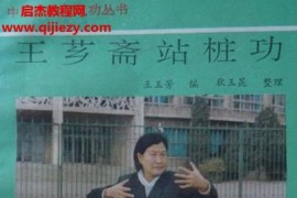 王玉芳著王芗斋站桩功电子书pdf百度网盘下载学习