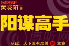 黄晓阳著阳谋高手电子书pdfepubmobi格式百度网盘下载学习