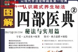 图解四部医典2部全电子书pdf医理与养生篇秘法与实用篇百度网盘下载学习