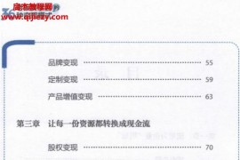 王冲老板要学会的36种变现模式电子书pdf百度网盘下载学习