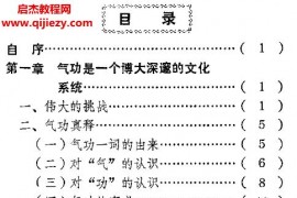 王宇峰著生命文化气功内涵探真电子版pdf百度网盘下载学习