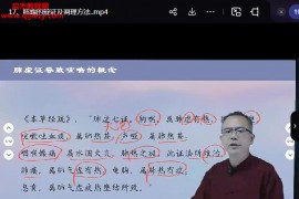 汪园黔针灸三圣阴阳针网课视频教程22集百度网盘下载学习