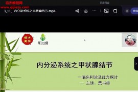 经方视角下的内分泌科视频课程13集百度网盘下载学习