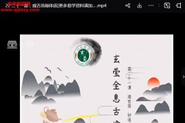 玄莹全息舌诊第二十二期视频课程26集百度网盘下载学习