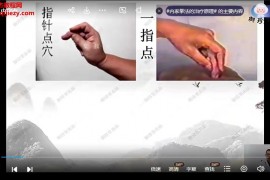 王哲14套课程合集中医博士王哲易医针灸视频教程百度网盘下载学习