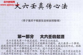 伍建宏大六壬面授真传心法电子书pdf百度网盘下载学习