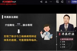 灵兰叶柳忠寻真疗法二阶课程共学营二期视频课程百度网盘下载学习