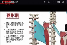 C先生3D动态解剖与体态关系视频课程百度网盘下载学习