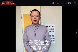 秘式呼吸升阳法升阳回春法视频课程29集百度网盘下载学习