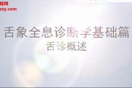 即慧中医中医舌诊舌象全息诊断学视频课程19集百度网盘下载学习