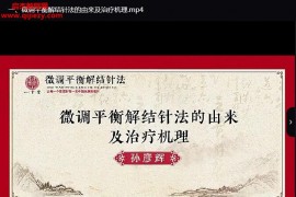 孙彦辉微调平衡解结针法视频课程27集百度网盘下载学习