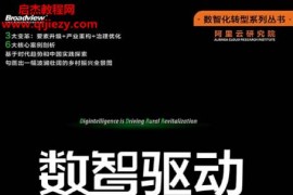 张建锋著数智驱动乡村振兴电子书pdfmobiepub格式百度网盘下载学习