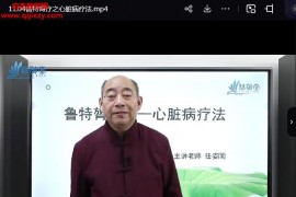 任子刚老师鲁特膂疗第2期视频课程14集百度网盘下载学习