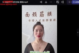 庞磊庞氏筋膜面颈部张量手法第二季专业版视频课程38集百度网盘下载学习