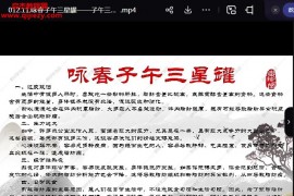 清风老师咏春子午三星罐视频课程15集百度网盘下载学习