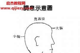 道玄子著中国道家养气全书电子版pdf百度网盘下载学习