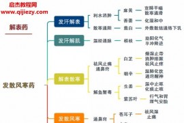 中医考研思维导图8本电子书pdf百度网盘下载学习