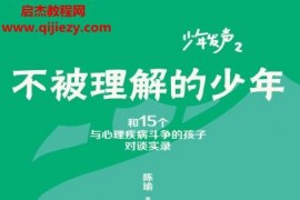 陈瑜著不被理解的少年电子书pdfmobiepub格式百度网盘下载学习