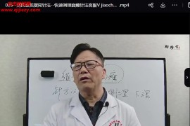 2023刘海军刘氏金龙摆尾针法视频课程百度网盘下载学习