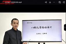 李祥平九宫八卦精确舌诊视频课程12集百度网盘下载学习