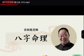 张树旗八字命理视频课程10集百度网盘下载学习