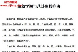 藏象学说与八卦象数疗法电子书pdf百度网盘下载学习