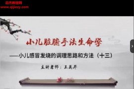 王英华小儿脏腑机能调整手法生命学视频课程43集百度网盘下载学习