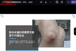 身体的点阵基于FM理论和中医经络体系的内脏肌骨系统综合论述视频课程21集百度网盘下载学习