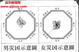 林吉成灾凶厄难大图鉴电子书pdf175页百度网盘下载学习