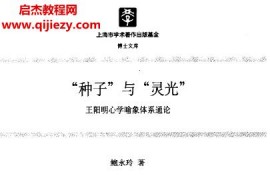 鲍永玲著“种子”与“灵光”王阳明心学喻象体系通论电子版pdf百度网盘下载学习