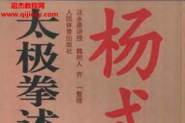 汪永泉讲述魏树人齐一整理太极述真电子版pdf百度网盘下载学习