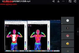 金梅吕旭升红外热像案例解读(寒热虚实,望而知之)视频课程15集百度网盘下载学习