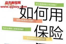 李元霸著如何用保险保障你的一生电子书pdfmobiepub格式百度网盘下载学习