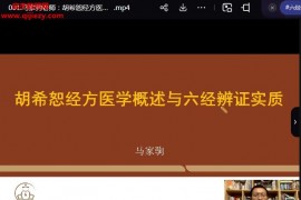 马家驹经方医学六经辨证视频课程20集百度网盘下载学习