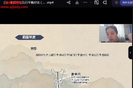 中推张庆玲张氏中医五行平衡疗法针药合并治疗常见类疾病视频课程5集百度网盘下载学习