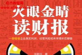 张新民著火眼金睛读财报电子书pdfmobiepub格式百度网盘下载学习