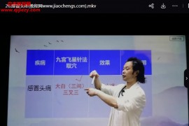 曾真华九宫飞针完整版视频课程32集百度网盘下载学习