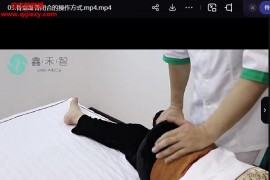 鑫禾智研习班课程合集百度网盘下载学习