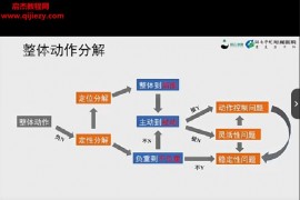 刘松涛慢性肌肉骨骼疼痛康复系列视频课程91集百度网盘下载学习