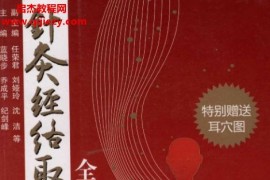 蓝晓步乔成平纪剑峰主编针灸经络取穴全真图解电子版pdf百度网盘下载学习