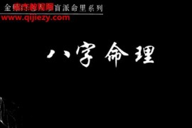 金镖门盲派八字君臣之道电子书PDF528页百度网盘下载学习