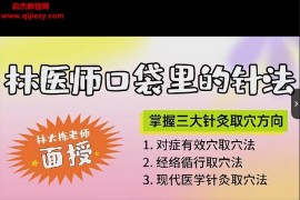 林大栋博士林医师口袋里的针法视频课程8集百度网盘下载学习