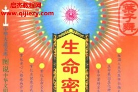 王大有著生命密码解读电子书pdf百度网盘下载学习