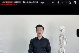 美式整脊系列手法视频课程5集百度网盘下载学习