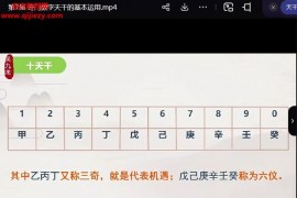 吴九龙八星奇门数字视频教程10集百度网盘下载学习